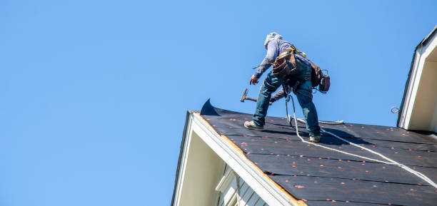Best Roof Waterproofing Services  in Grand Blanc, MI